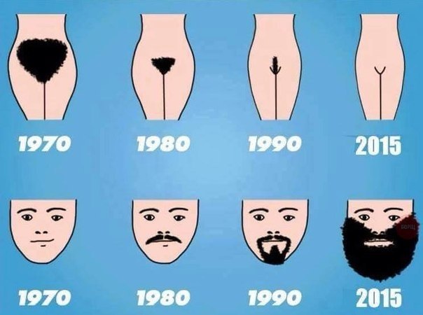 604x450, 40 Kb / волосы, прическа, борода, мохнатка, эволюция