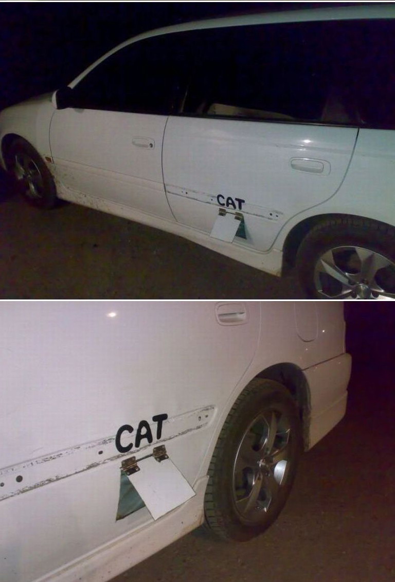 768x1131, 121 Kb / Машина, дверь, кошка, кот