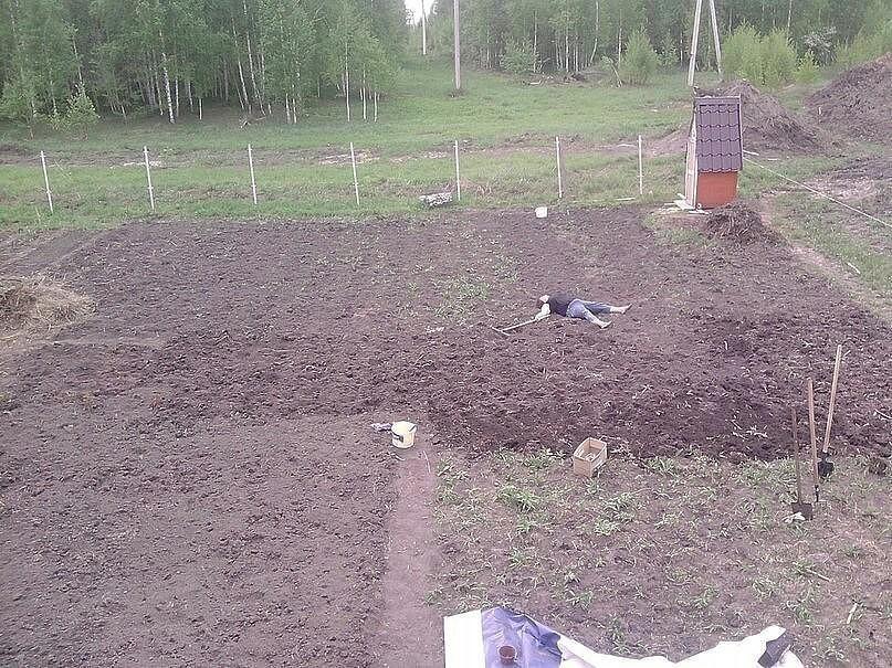 807x605, 165 Kb / Огород, сад, женщина, лежит, туалет