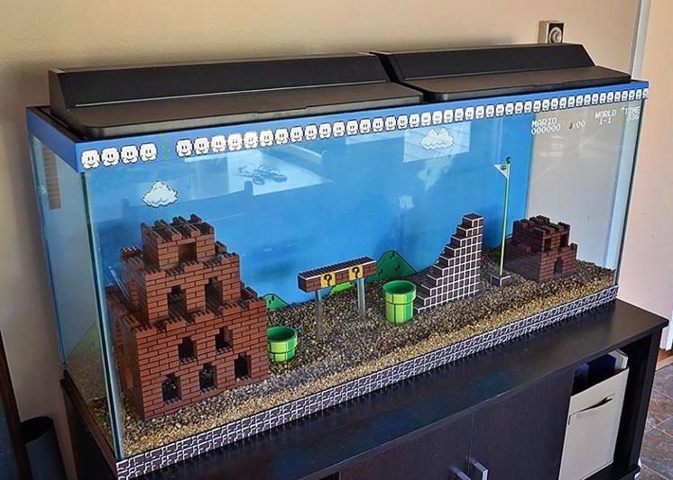 746x533, 72 Kb / Марио, аквариум