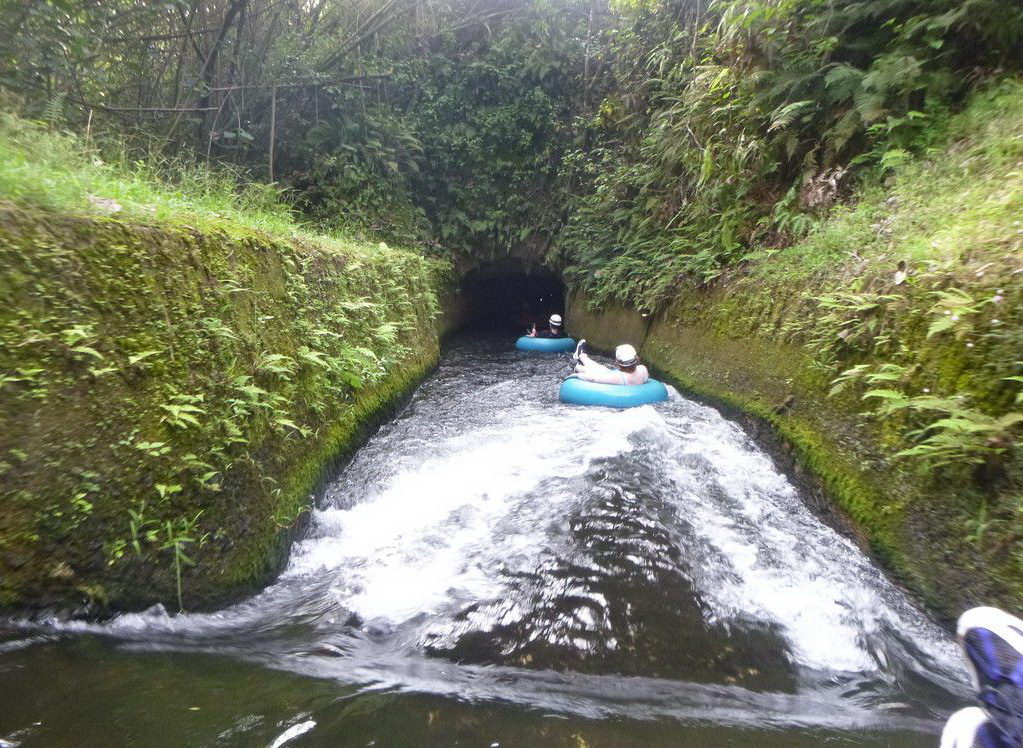 1023x748, 219 Kb / гаваи, лодка, река, трава