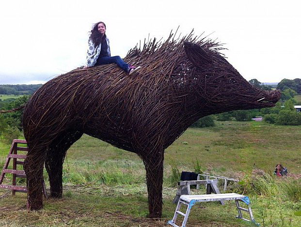 621x469, 121 Kb / кабан, прутья, скульптура