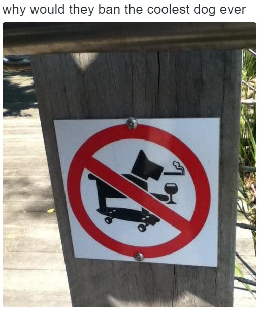 510x607, 87 Kb / знак, собака, скейт, бокал, сигарета