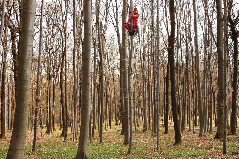 800x532, 338 Kb / парк, красное, древолаз