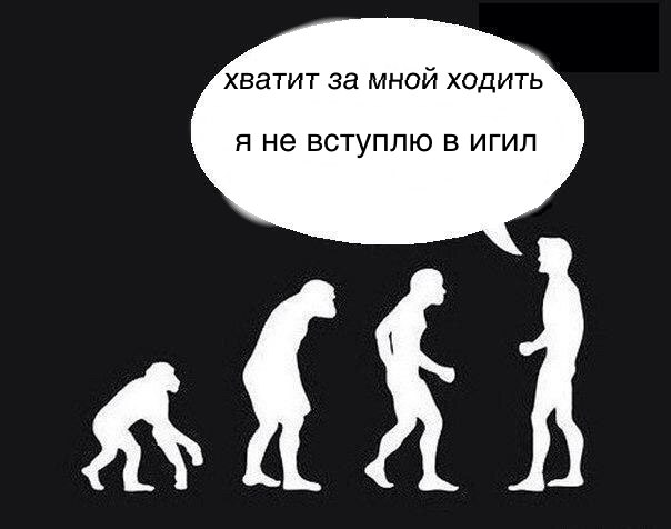 604x476, 31 Kb / игил, обезъяна, эволюция