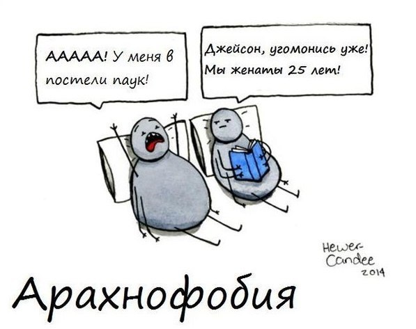 597x473, 43 Kb / арахнофобия, пауки, женаты