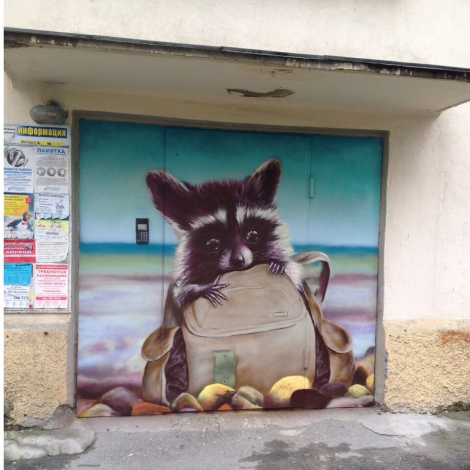 960x960, 169 Kb / Енот, рюкзак, дверь, козырёк