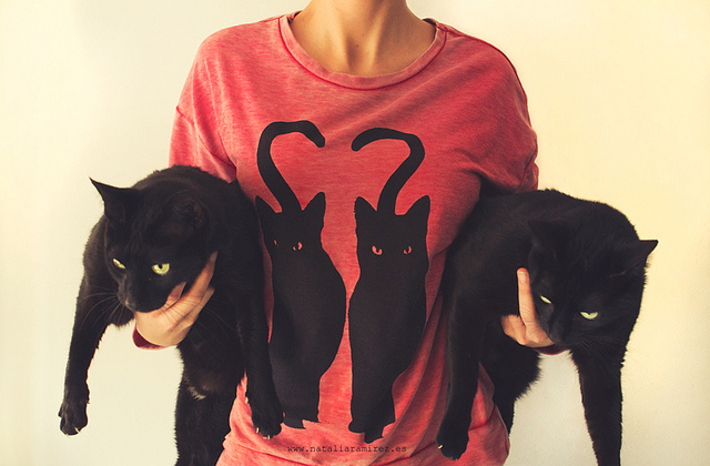 640x420, 126 Kb / коты, майка, принт, красная, черные