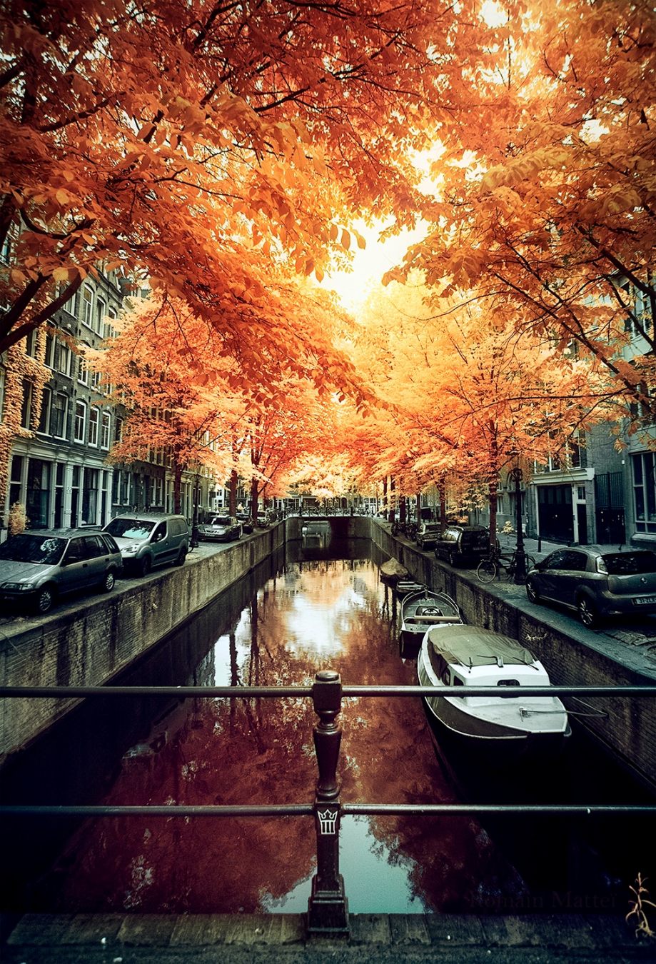 919x1350, 388 Kb / осень, катер, канал, лодка, листопад, амстердам