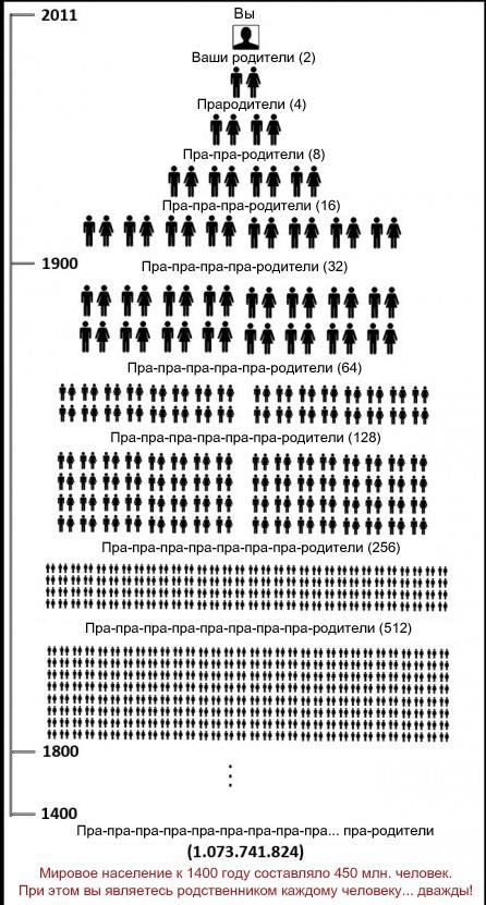 446x831, 86 Kb / Семейное, древо, дерево, люди