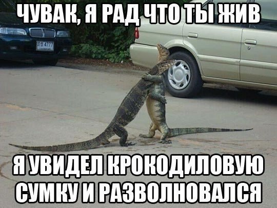 540x405, 58 Kb / сумка, крокодил, ящерица, ровер