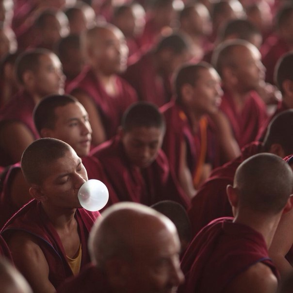 604x604, 44 Kb / монах, жвачка, пузырь, Люся Маратканова