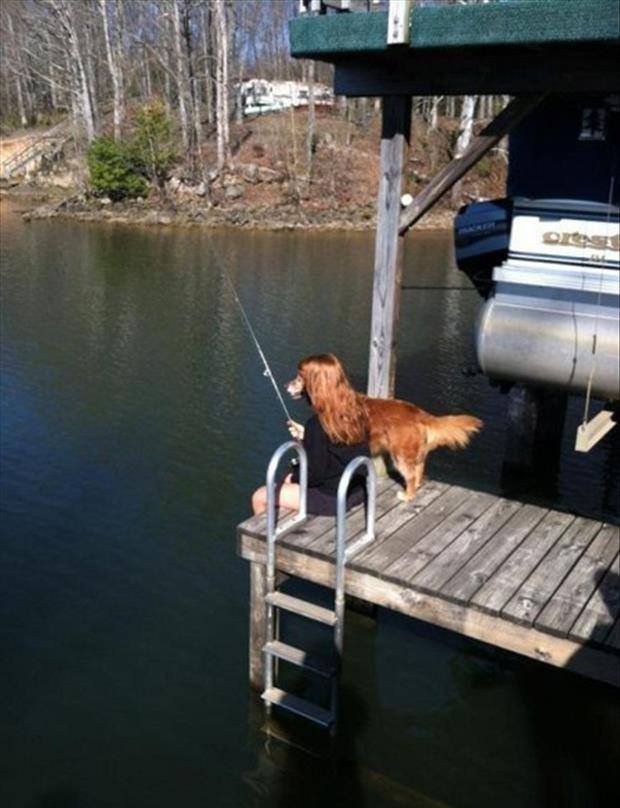 620x808, 78 Kb / вода, причал, пирс, собака, удочка, девушка, рыжая