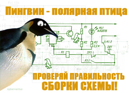 500x358, 51 Kb / пингвин, схема, полярность