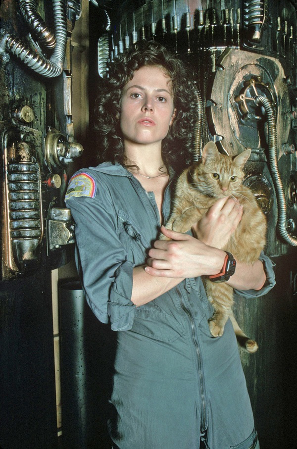 600x907, 341 Kb / Сигурни Уивер, Sigourney Weaver, чужой, кот