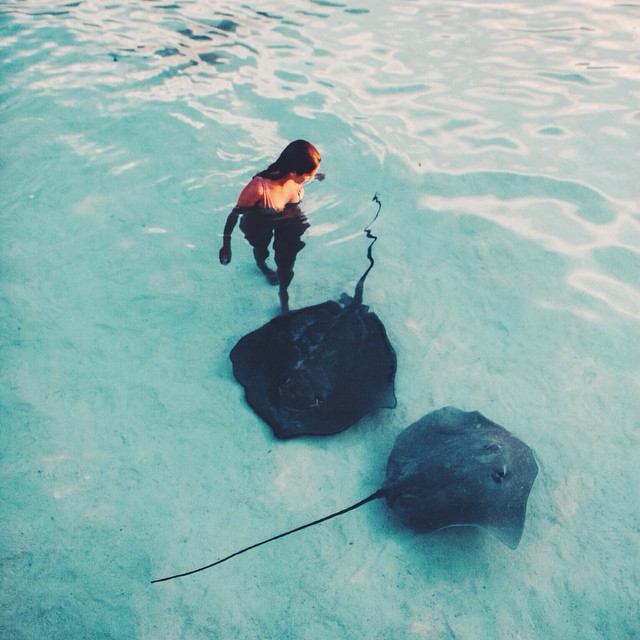 640x640, 87 Kb / скаты, девушка, вода