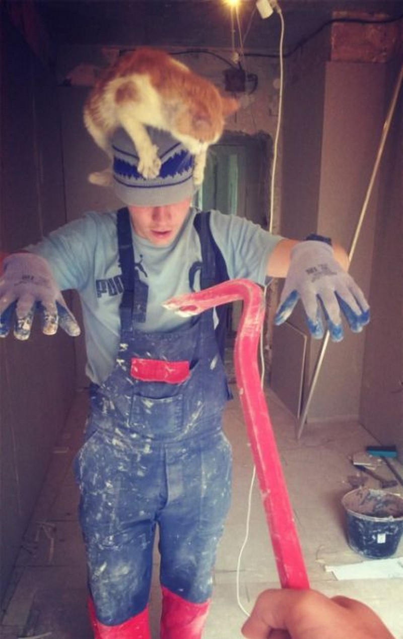 800x1268, 140 Kb / Half-Life, рабочий, котэ, лом, хедкраб