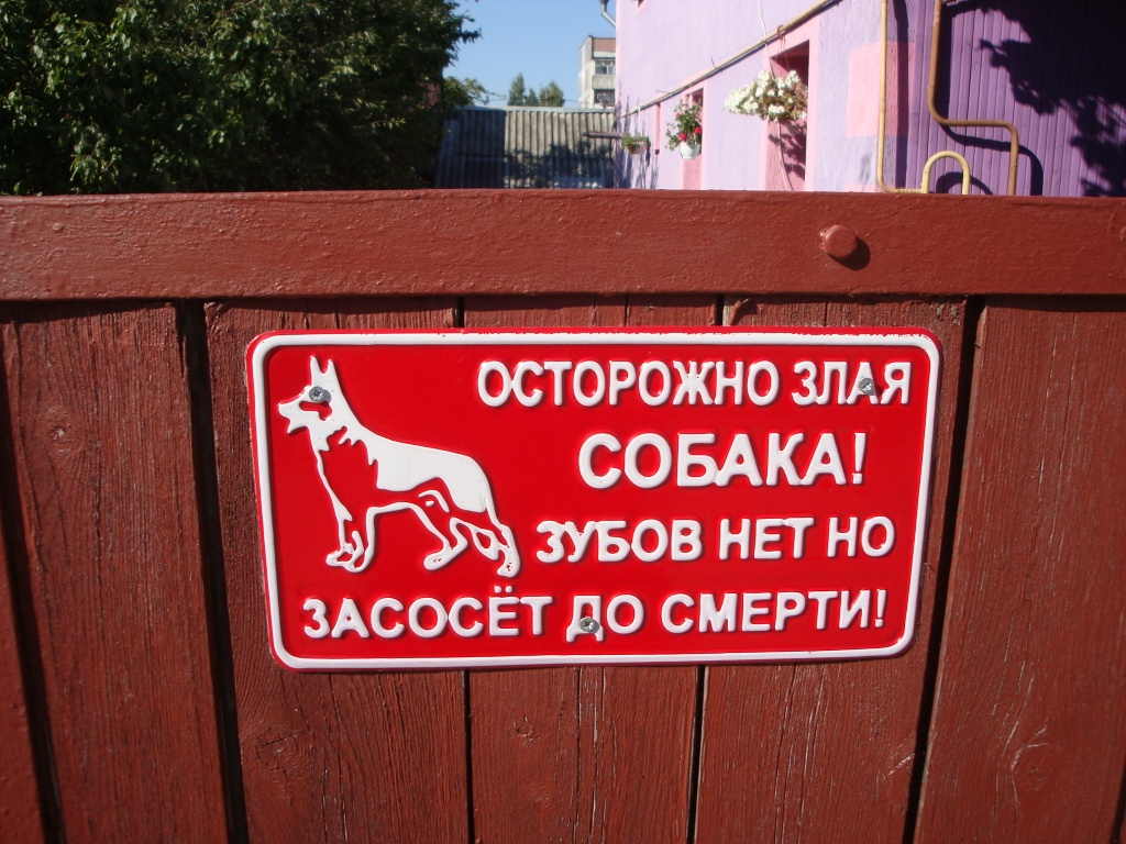 1024x768, 346 Kb / собака, любовь, до смерти