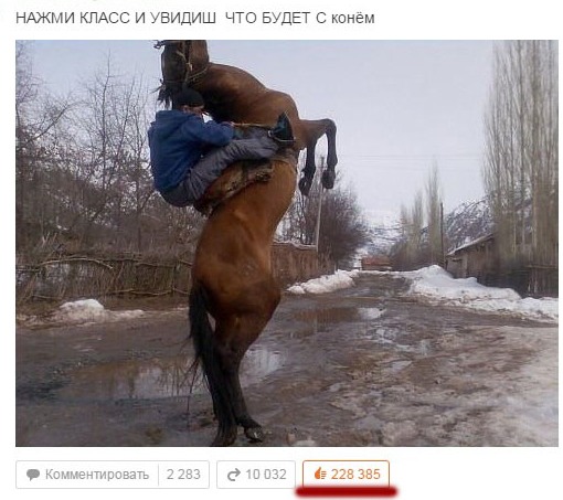 510x453, 74 Kb / картинка, конь, снег, класс