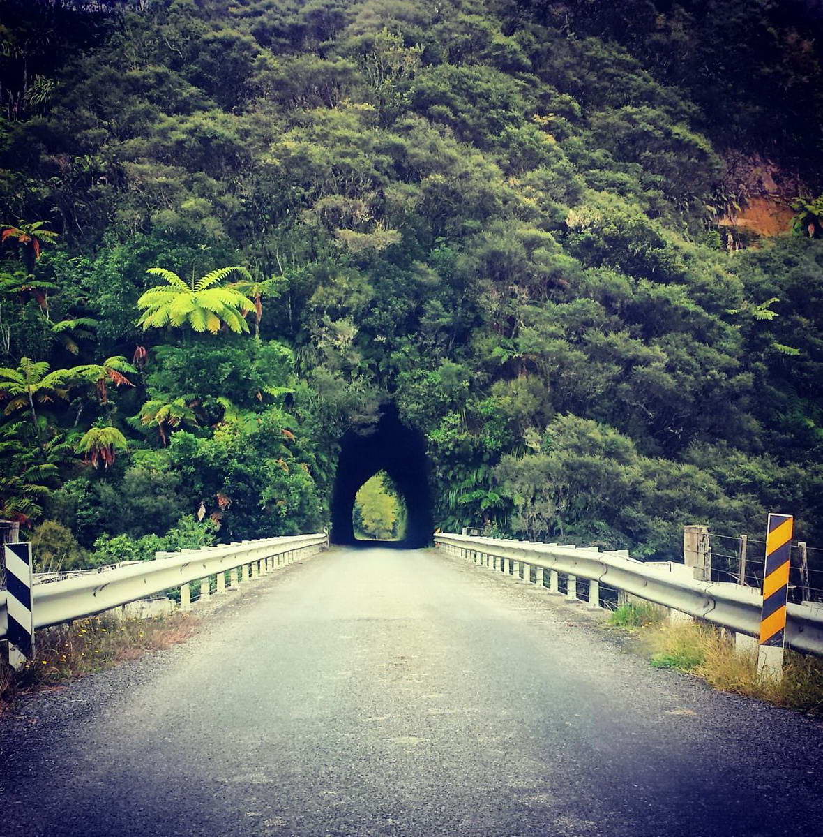 1180x1199, 302 Kb / пещера, дорога, тоннель, зелень