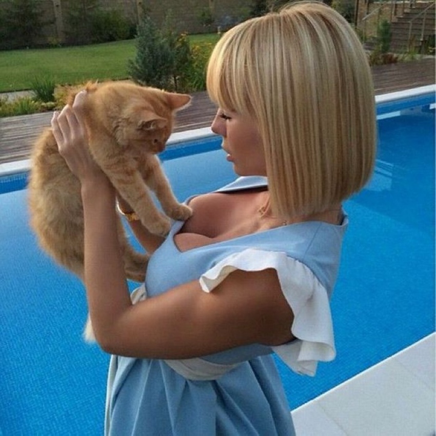 850x850, 219 Kb / Котёнок, бассейн, блонд