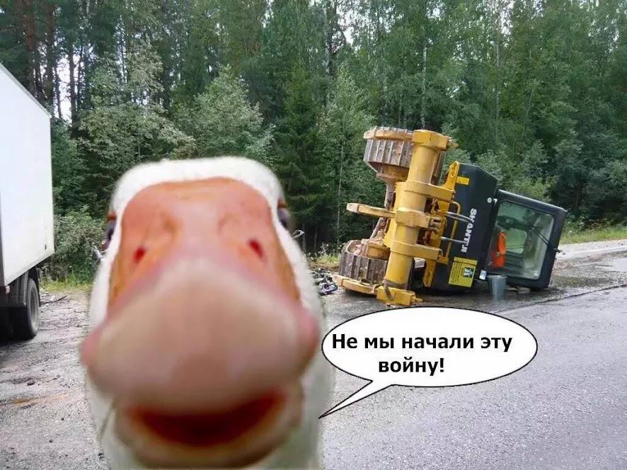 886x664, 133 Kb / гусь, бульдозер, война, санкции