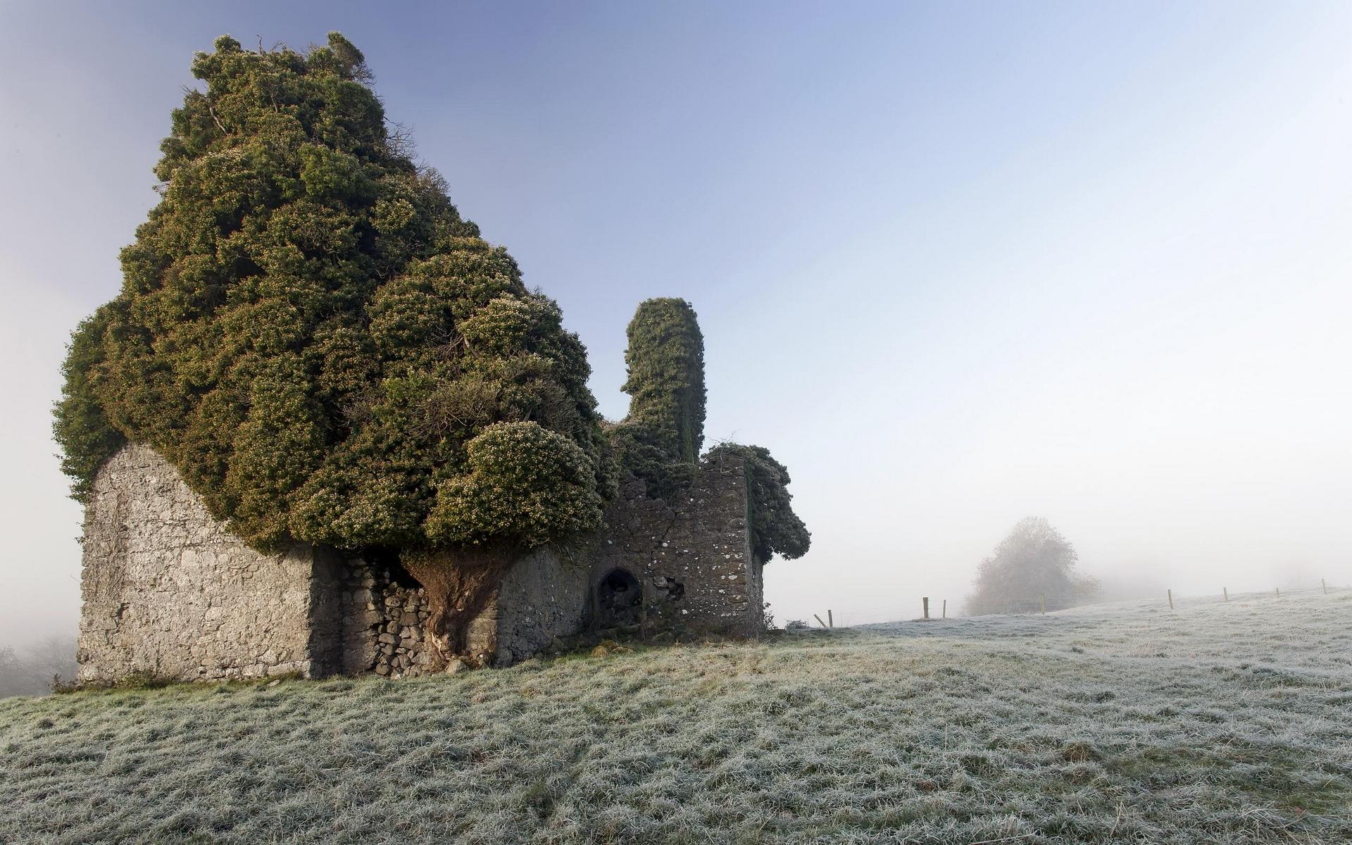1920x1200, 391 Kb / Руины, церковь, туман, заросли