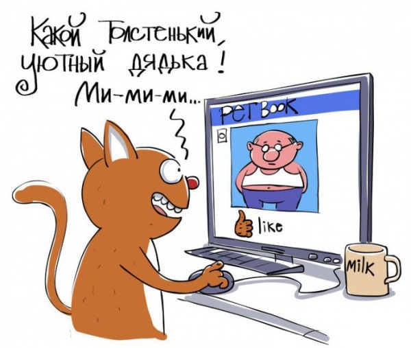 600x507, 83 Kb / Кот, монитор, лайк