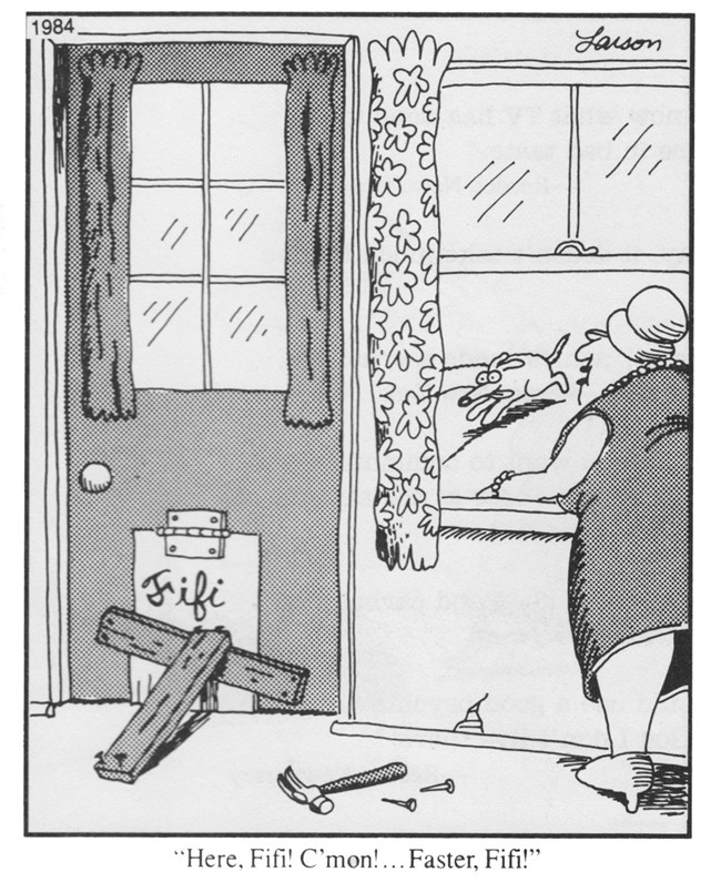 650x795, 148 Kb / собака, дверь, молоток