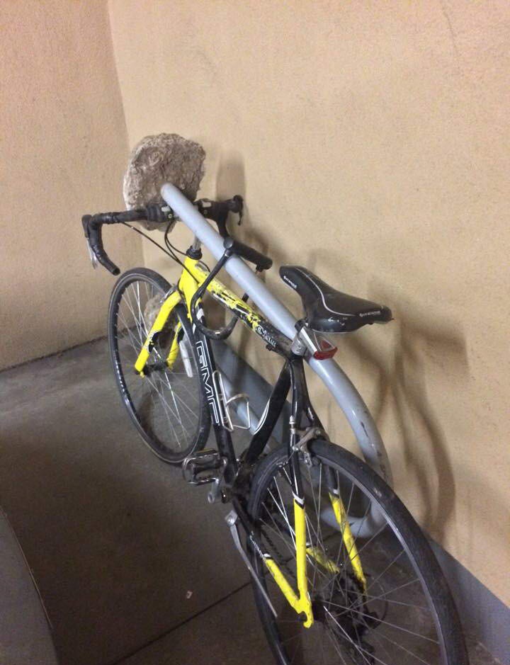 720x939, 111 Kb / Велик, столб