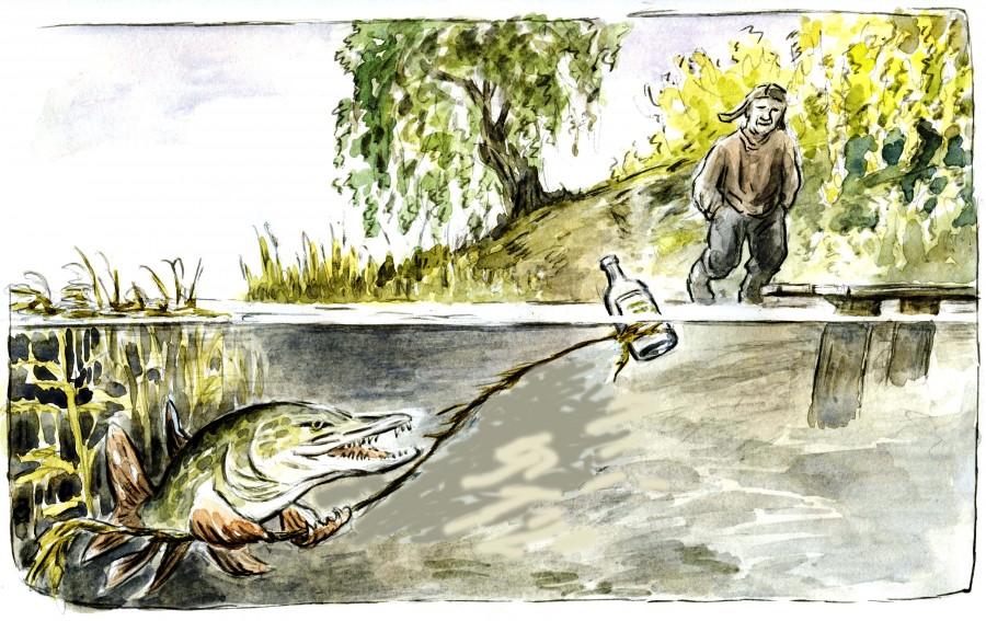 900x567, 195 Kb / щука, бутылка, алкоголик, рыбалка, приманка