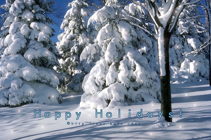 720x480, 124 Kb / зима, снег, деревья