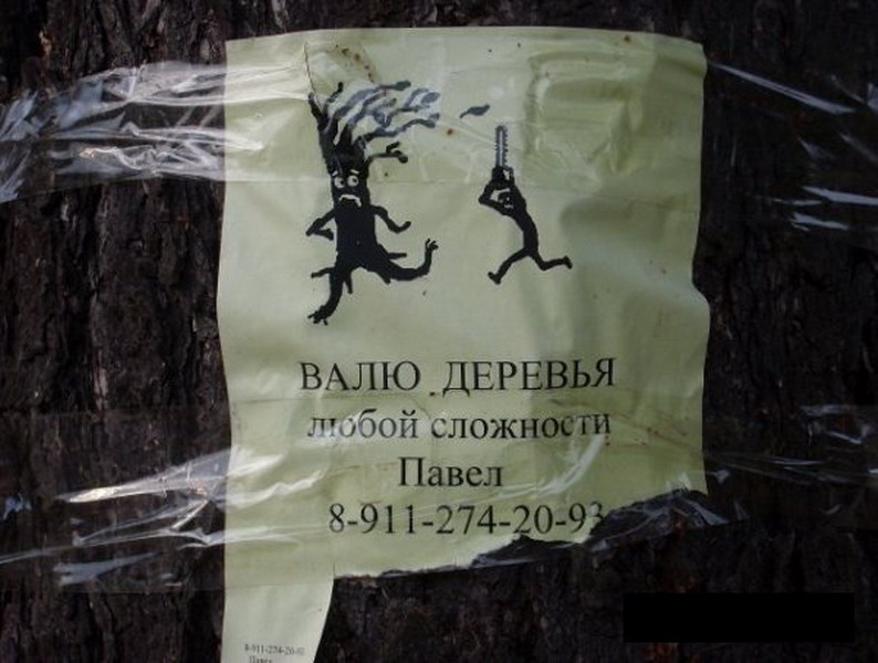 794x600, 102 Kb / Деревья, объявление, скотч