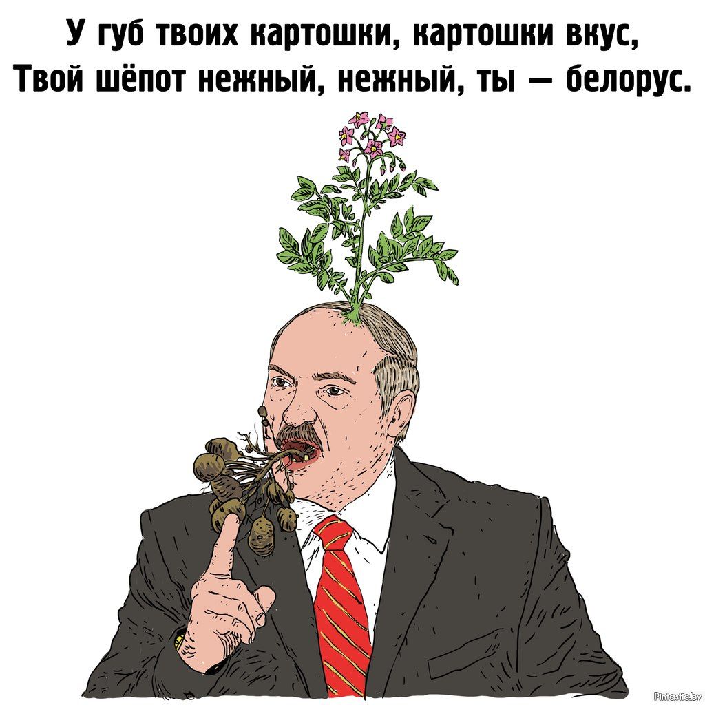 1024x1024, 128 Kb / Лукашенко, картошка, вкус, клубни, цветы, белорус, ДАЛС, песня, шепот
