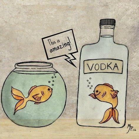 472x472, 54 Kb / рыбки, водка, бутылка, аквариум