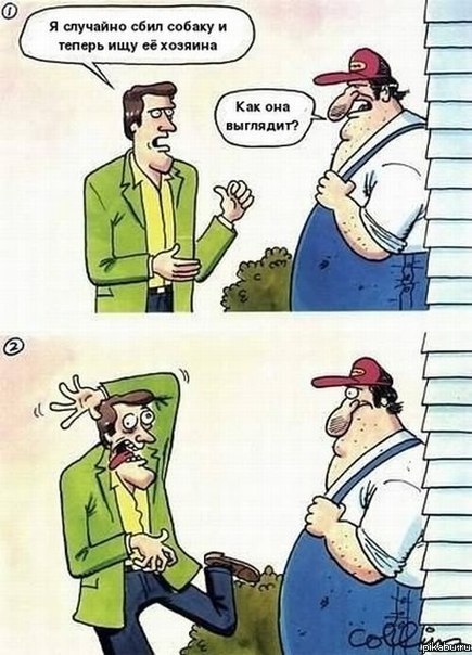 435x604, 68 Kb / комикс, собаку, сбил, выглядит, кривляется