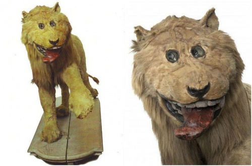 500x329, 53 Kb / чучело, лев