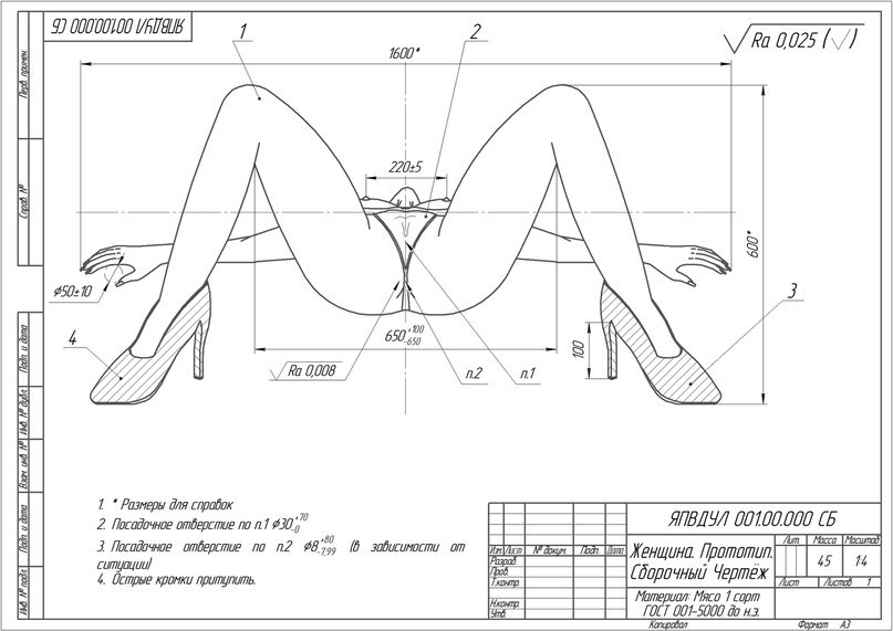 807x571, 72 Kb / Женщина, чертёж