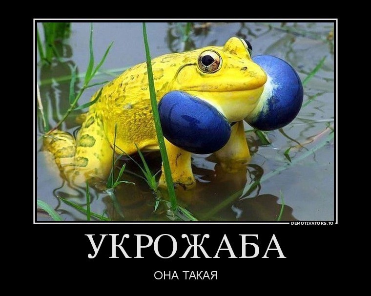 760x606, 114 Kb / Политота, укрожаба