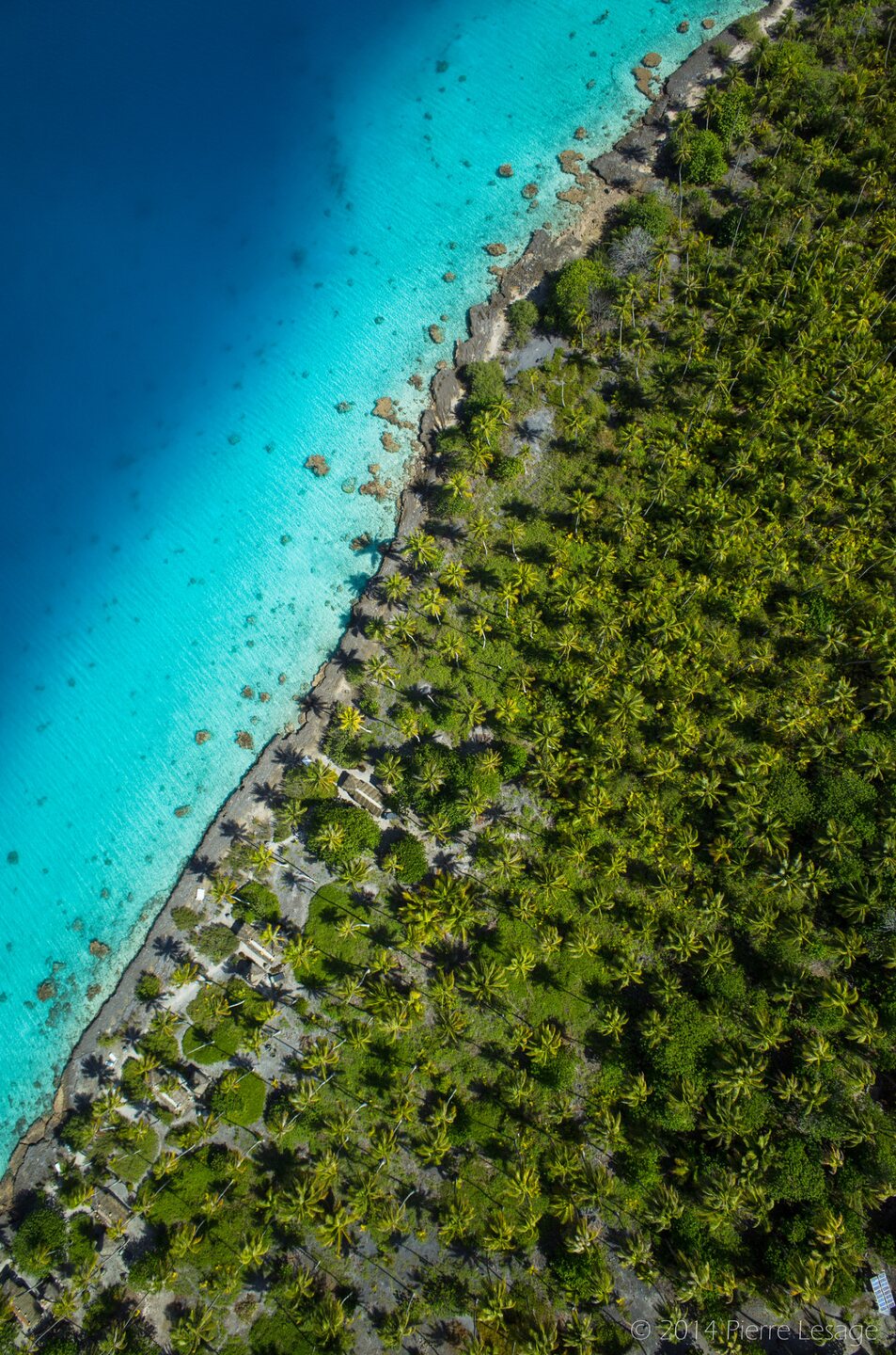 953x1440, 392 Kb / берег, пляж, риф, океан, пальмы, сверху