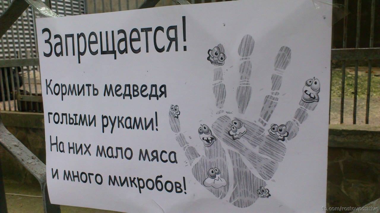 1280x720, 90 Kb / медведь, зоопарк, объявление