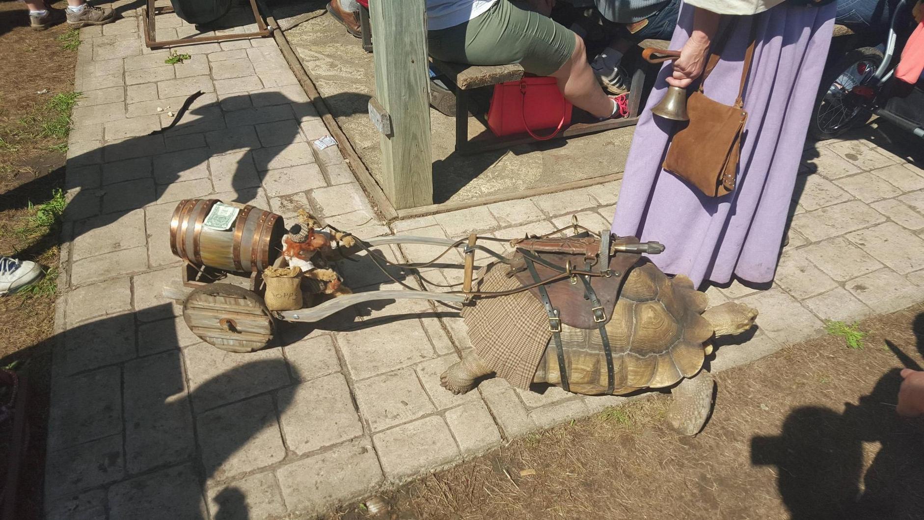 1882x1059, 337 Kb / черепаха, косплей, бочёнок, тележка