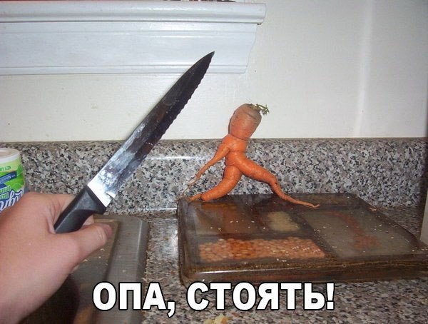 600x454, 63 Kb / морковь, побег, нож, стоять