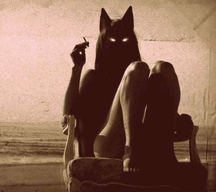 720x643, 49 Kb / сигарета, кресло, глаза