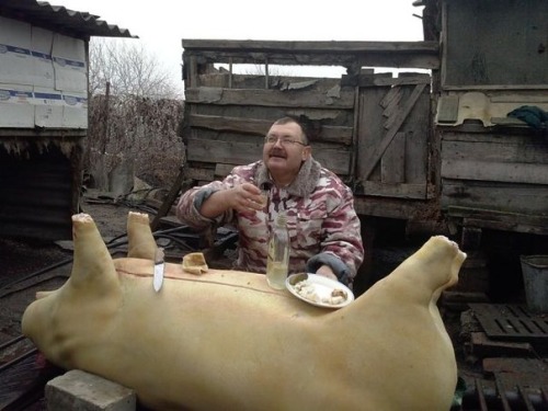 500x375, 53 Kb / свинья, мужик, скотный двор