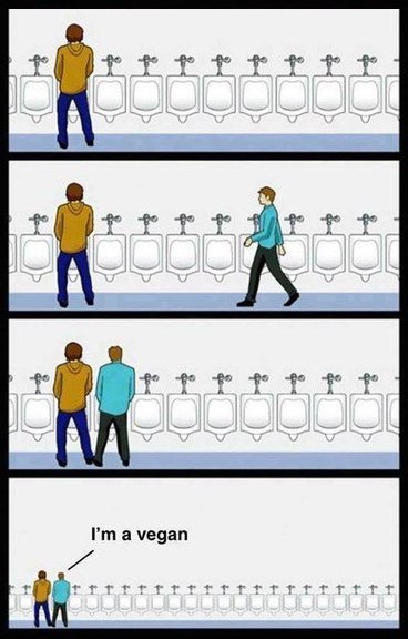 368x576, 45 Kb / туалет, писсуары, ряд, веган, вегитарианец, гей