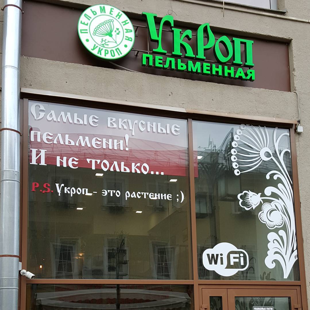 1080x1080, 153 Kb / укроп, растение, пельменная