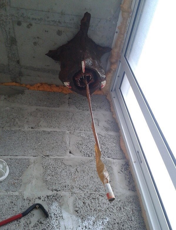 599x781, 105 Kb / мухоловка, монтажка, окно,Half, Life