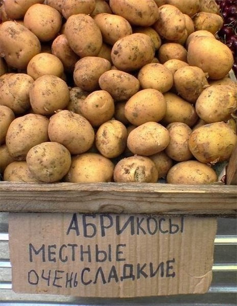 464x600, 72 Kb / абрикос, картофель