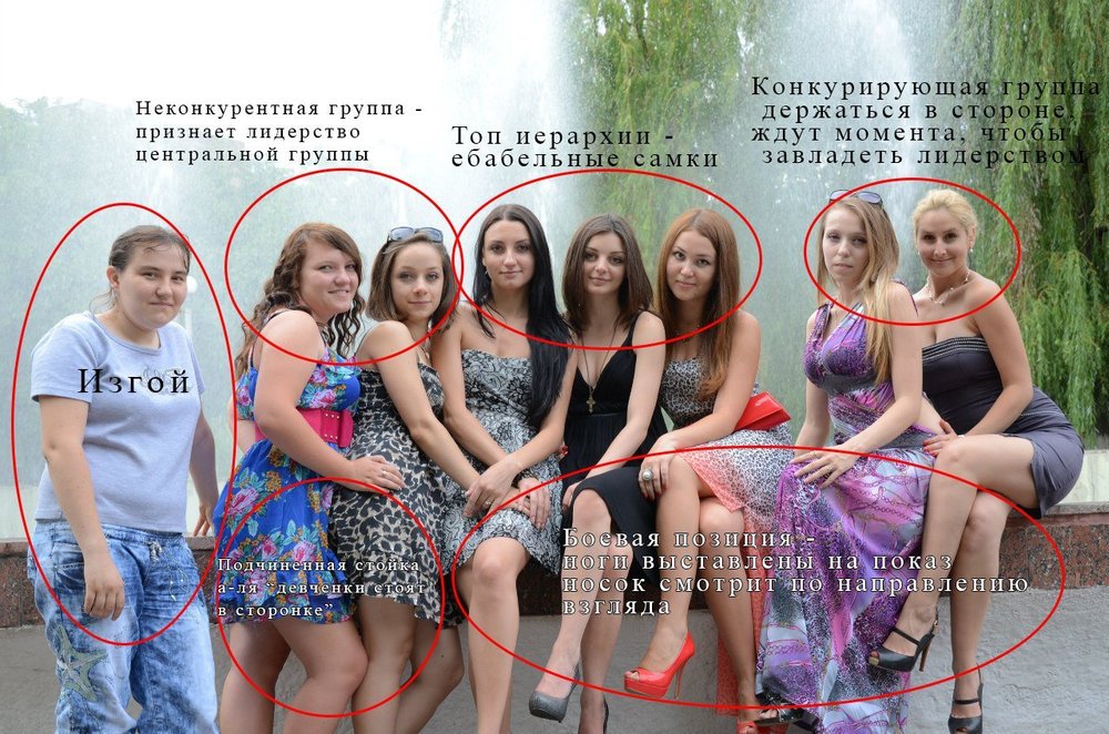 1000x662, 195 Kb / Иерархия, бабы